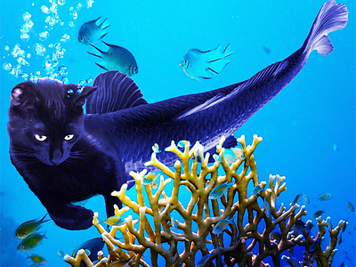 Bernie the Mer-cat cat art photoshop