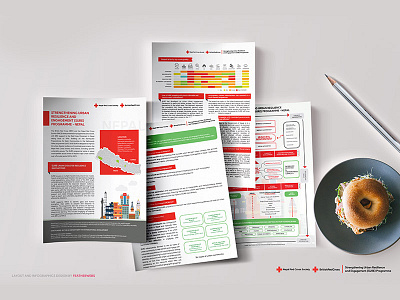 Layout and Infographics for BRC design illustrations infographics layout