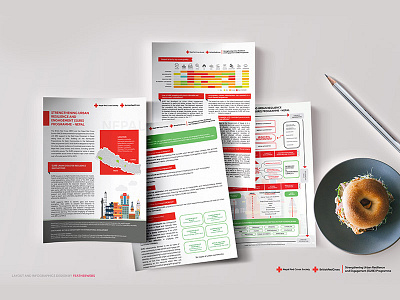 Layout and Infographics for BRC