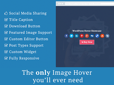 WordPress Image Hover Showcase banner image hover wordpress wordpress image hover