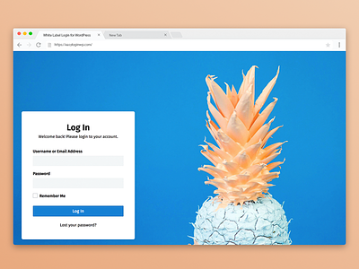 WordPress Admin Login Page