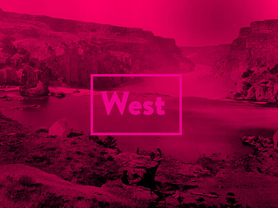 Go West cowboy monocrome pink poster western