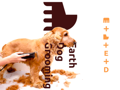 Dog Grooming Designs Themes Templates And Able Dog Grooming Designs Themes Templates And Able