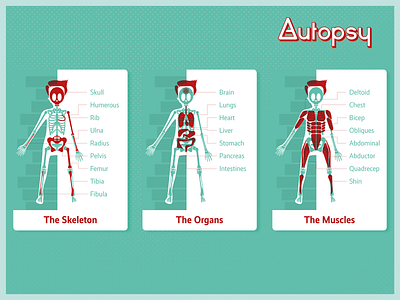 Autopsy Cards branding design flat illustration illustrator vector
