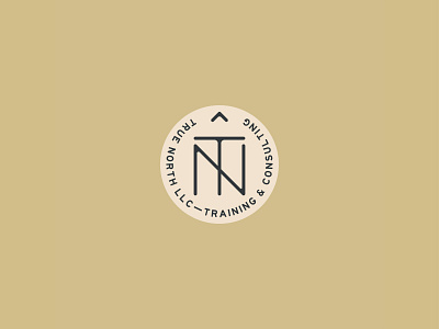 True North branding design logo typography