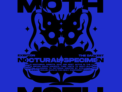 Moth - Nocturnal Specimen bleu design flower font graphic design illustration moth type