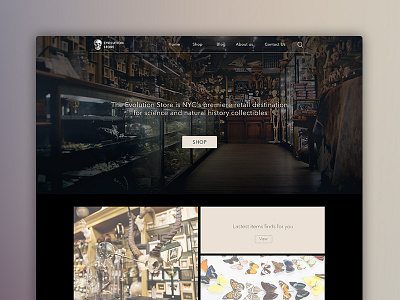 Evolution Store Redesign evolution icon layout store taxidermy ux webdesign