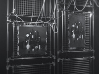 nike flyknit magista