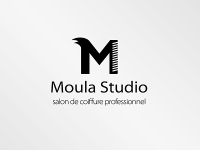 Moula Studio Logo coiffure hair logo moula pro salon studio