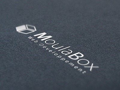 Moula Box box design logo moula