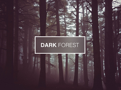 Dark Forest inspiration