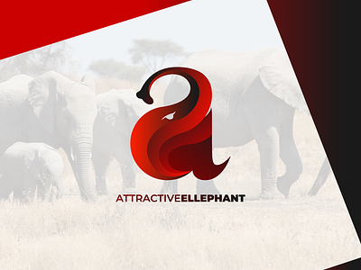 Attractive Elephant Logo Concept