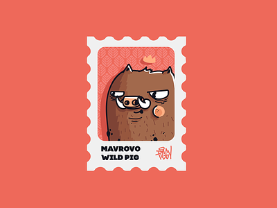Pig : Mavrovo animal cartoon character character design drawing illustration mountain pig piggy procreate vector wild pig