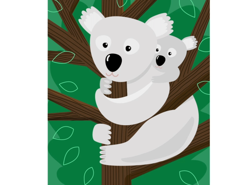 coala bears animation aftereffects animated animation bear coala design flat flatdesign illustration illustrator motion design motion graphics vecror