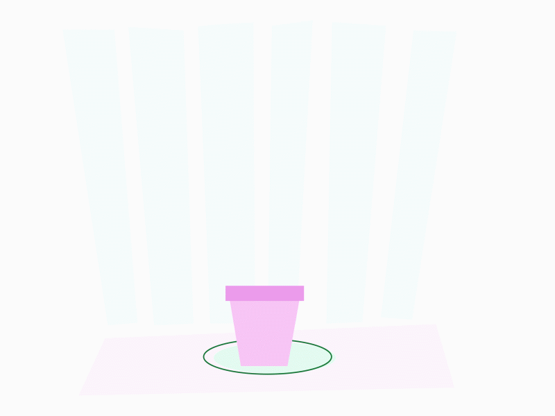 rememer to water your flowers aftereffects animation design flat flatdesign illustration illustrator motion motion design motion graphic motiongraphics vector web