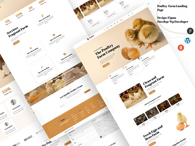 Poultry Farm landing Page branding design elementor farm landing page figma poultry poultry farm website shop website typography ui ux website wordpress