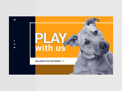 Design for Dog Shelter website