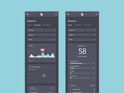 Analytics Tool Mobile Dark Version