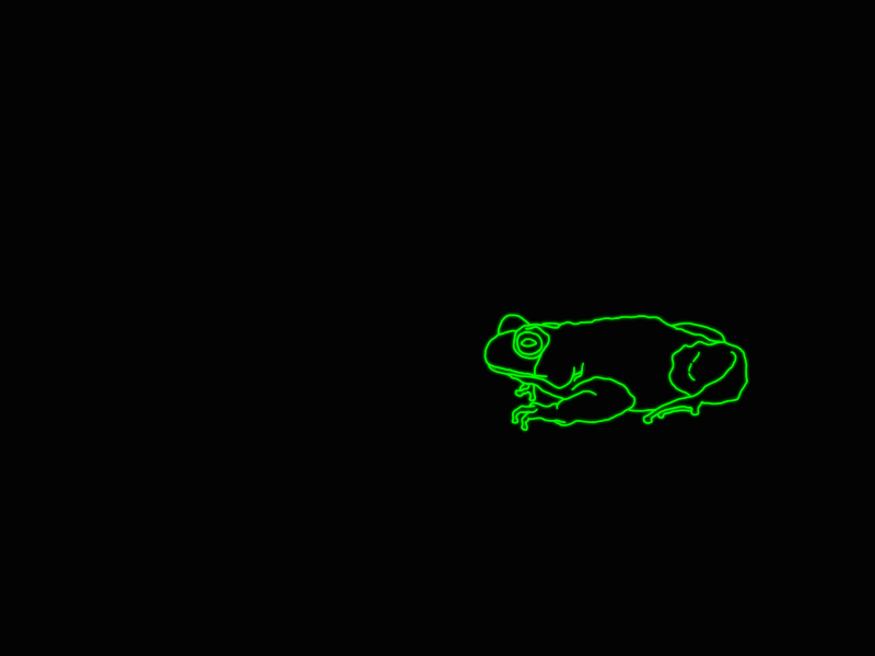 biomimética #01 animation 2d framebyframe frog motion motiongraphics