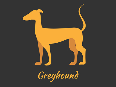 Greyhound Logo Design branding design flat icon illustration logo minimal vector