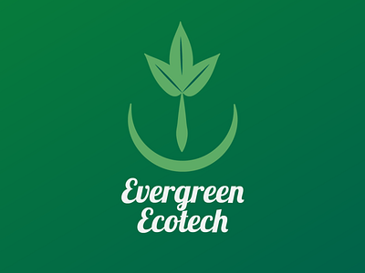 Evergreen Logo Design design icon logo design typography vector