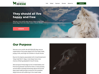 K9 Rescue Website Redesign Concept design ui ux web website