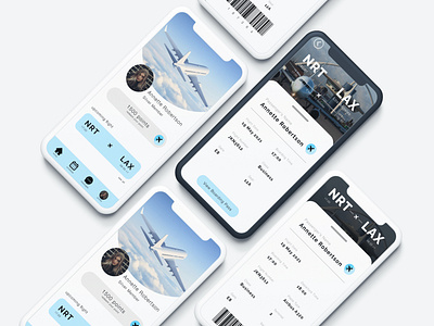 Boarding Pass Interface