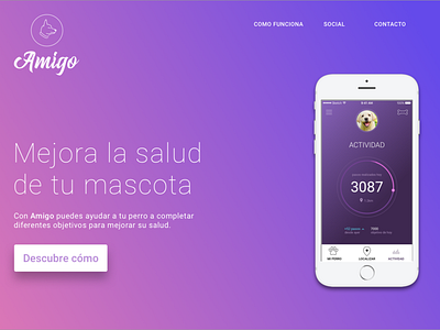 Amigo App