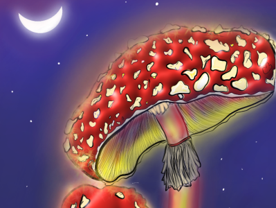 Magical Mushrooms design illustration