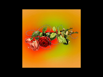 barbed rose acid beautiful collage design flowers glint gradients illustration love orange rose roses sparkle spikes surreal