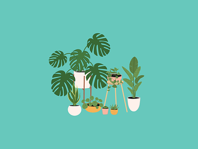 Indoor Plant Illustration