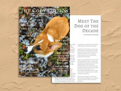 Pet Magazine adobexd corgi design dog forfun magazine pet photography photoshop