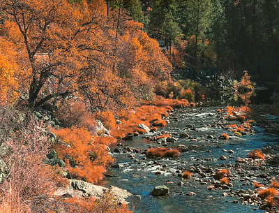 Pollock Pines amazing landscape nature photograph photographer retouch retoucher view viewer