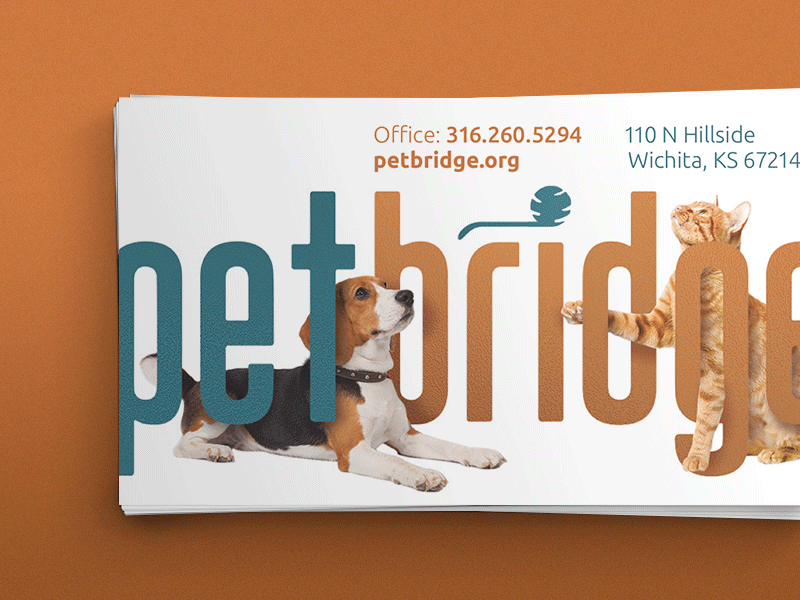 PetBridge Tradeshow Materials animal shelter brochure pet software petbridge pets print shelter software software
