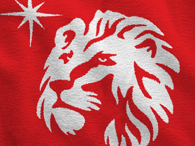 Heart of a Lion lion lion heart logomark roofing star