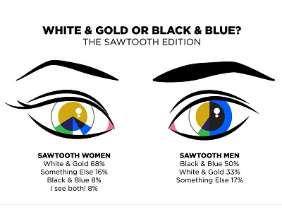 White & Gold or Black & Blue Infographic infographic