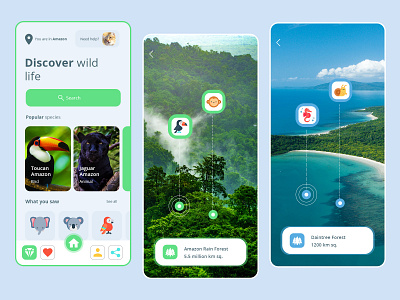 Wildlife App UI Design