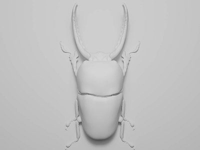 Insect Series - WIP Lamprima Adolphinae blender blender3d bug cgi cycles insect lamprimaadolphinae render