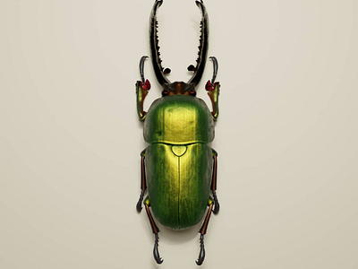 Insect Series - WIP Lamprima Adolphinae blender blender3d bug cgi cycles insect lamprimaadolphiae render