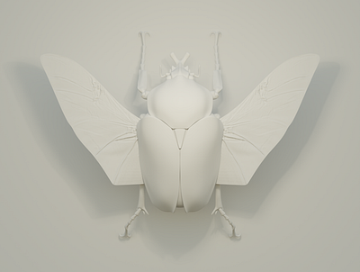 Insect Series - WIP Goliathus Goliatus 3d beetle blender blendercycles bug cgi cycles goliath insect render