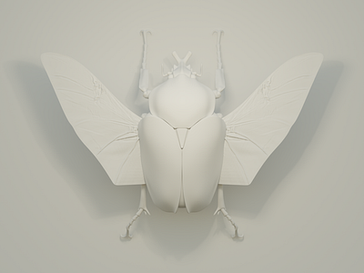 Insect Series - WIP Goliathus Goliatus 3d beetle blender blendercycles bug cgi cycles goliath insect render