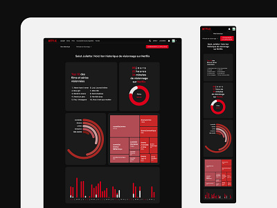 Netflix User Data Visualisation / Dashboard UI