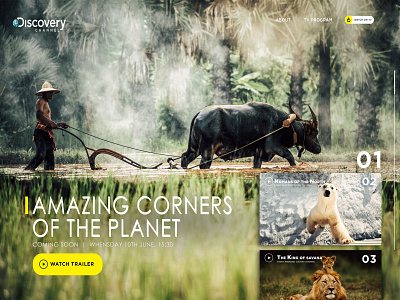 Discovery channel web site concept design brand identity branding branding design branidentity creative creative design interface interface design interface designer nature nature photography site site builder site design ui design ux web design website website design