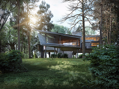 Mountain House - Dağ Evi 3dsmax architecture autocad design home landscape mountain photoshop vray