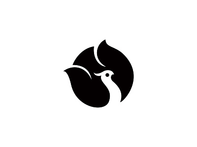 Bird Logo bird logo