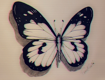 butterfly illustration pen