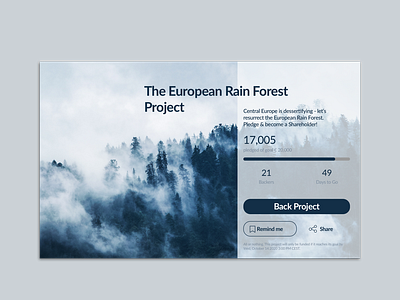 UI Challenge Day32 CrowdFunding Page 100dayschallenge dailyui dailyuichallenge ui userinterface uxui