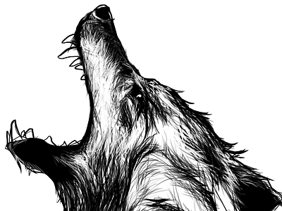 Tryptique RGB//CMY detail : Raging Wolf black and white drawing illustration linework wolf