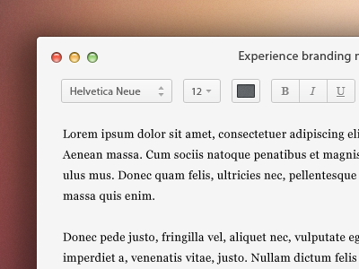 Clean text edit mac by Robert van Klinken on Dribbble