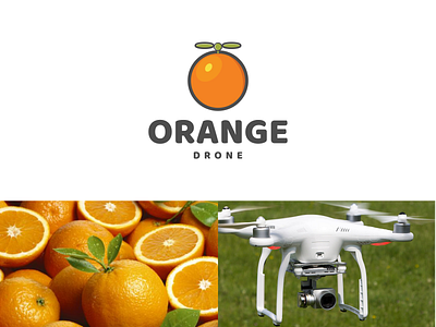 orange fruit and drone app branding design icon illustration logo typography ui ux vector